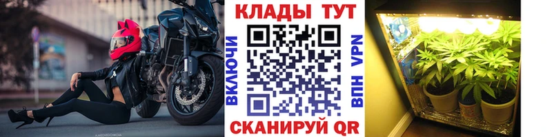 Виды наркотиков купить Чайковский КОКАИН МЕФ ГАШИШ A-PVP Псилоцибиновые грибы Конопля
