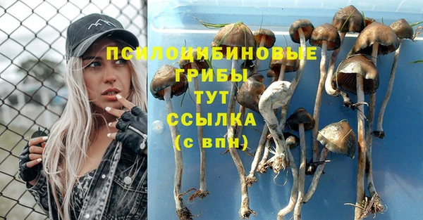 a pvp Михайлов