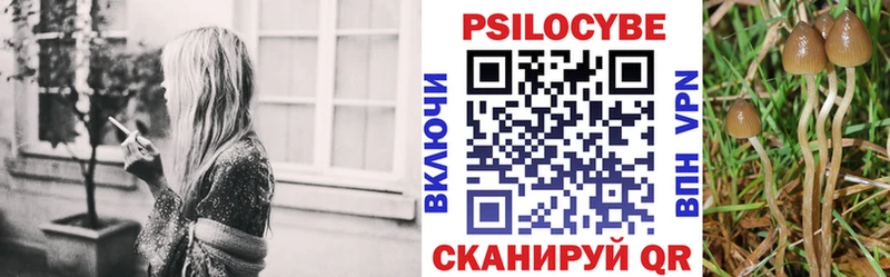 Псилоцибиновые грибы Psilocybine cubensis  купить наркоту  Чайковский 