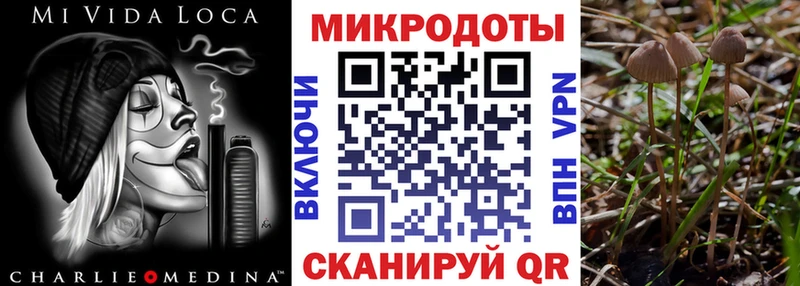 Псилоцибиновые грибы ЛСД Чайковский