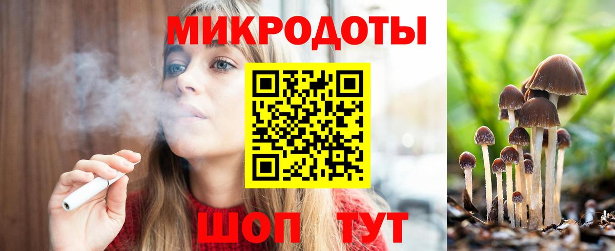 Псилоцибиновые грибы Psilocybe Чайковский