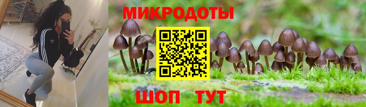 Псилоцибиновые грибы Psilocybe  Галлюциногенные грибы MAGIC MUSHROOMS  Вход с VPN  Чайковский 